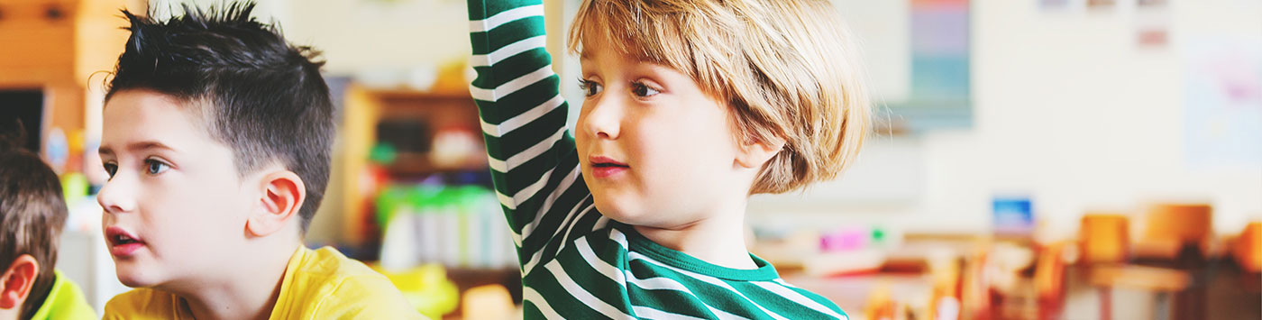 Kid Raising Hand In Class