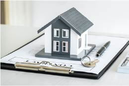 Miniature House